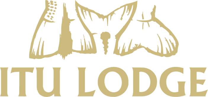 Itu Lodge