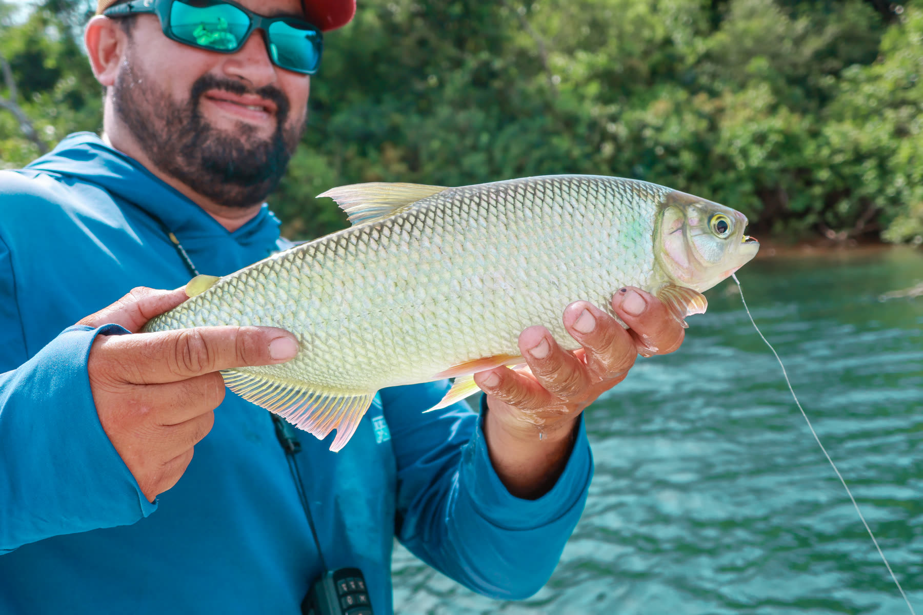 Salmón pescado en el río Paraná