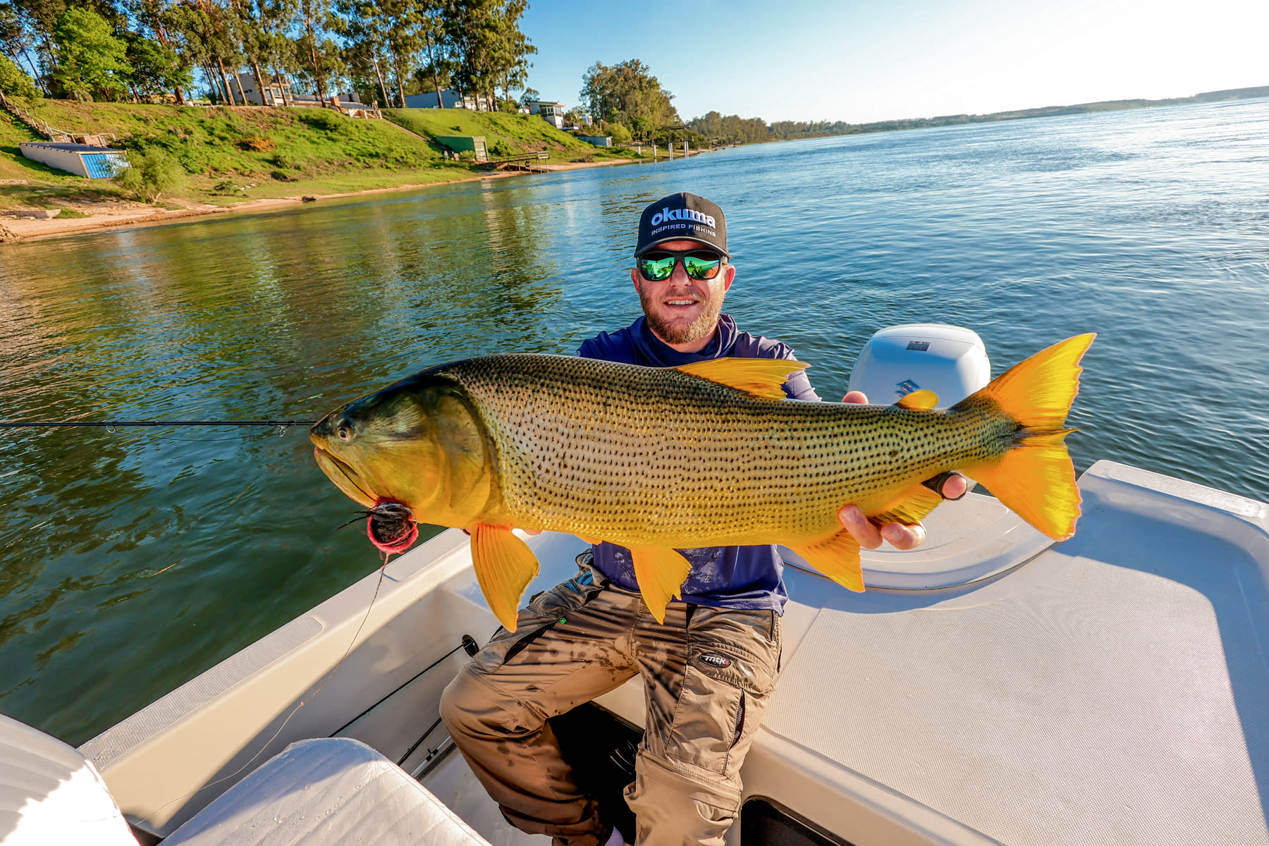 Dorado pescado en el río Paraná